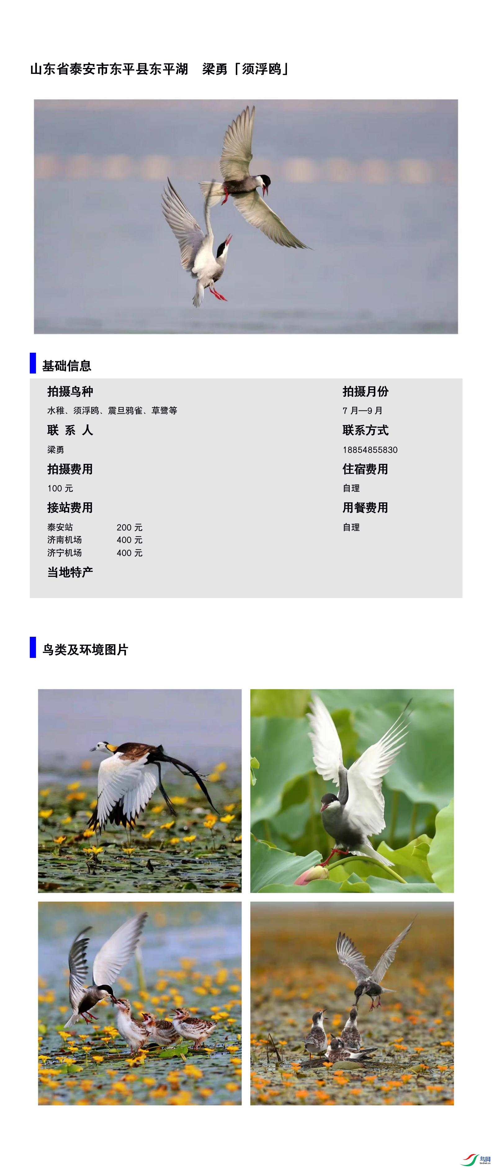 ɽ��ʡ̩���ж�ƽ�ض�ƽ��  ����18854855830.jpg