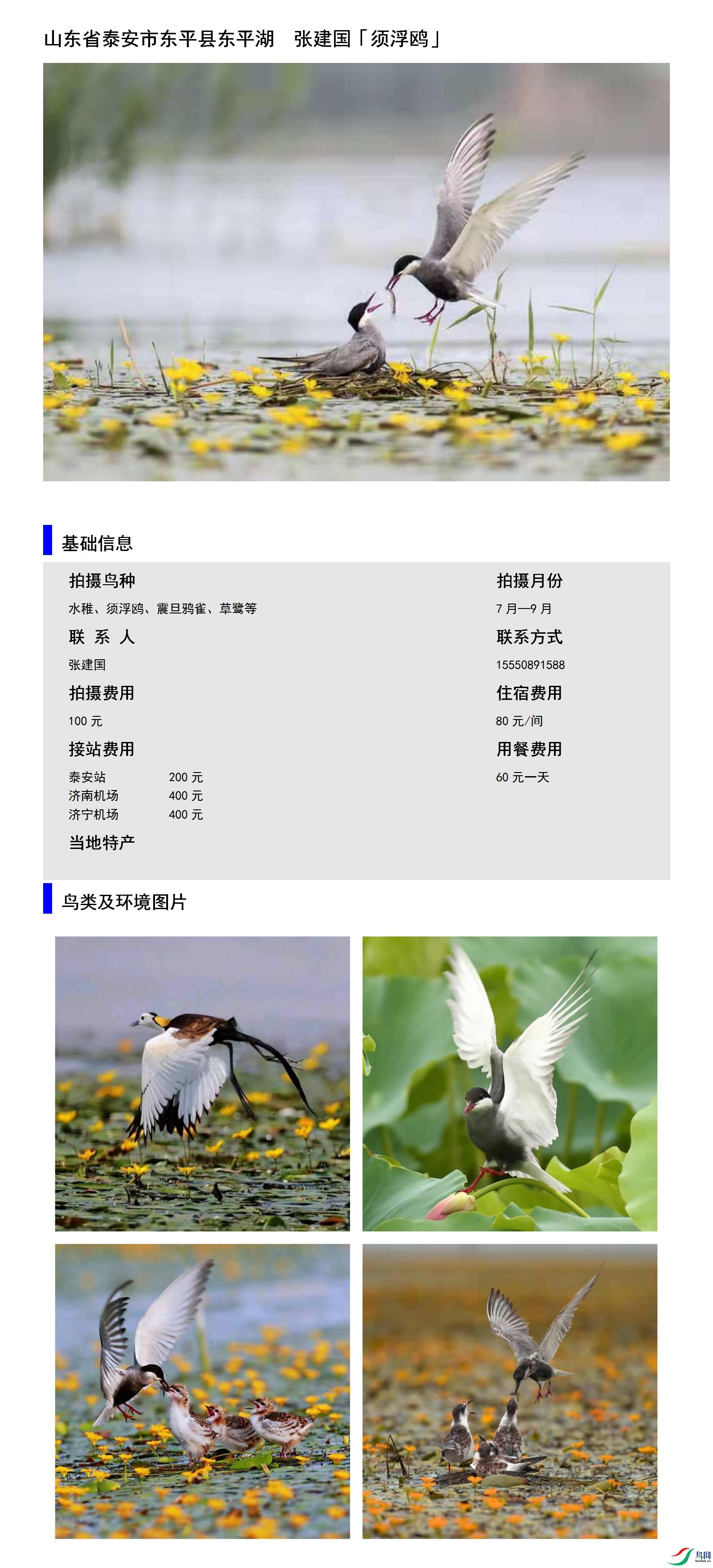 ɽ��ʡ̩���ж�ƽ�ض�ƽ��  �Ž���15550891588.jpg