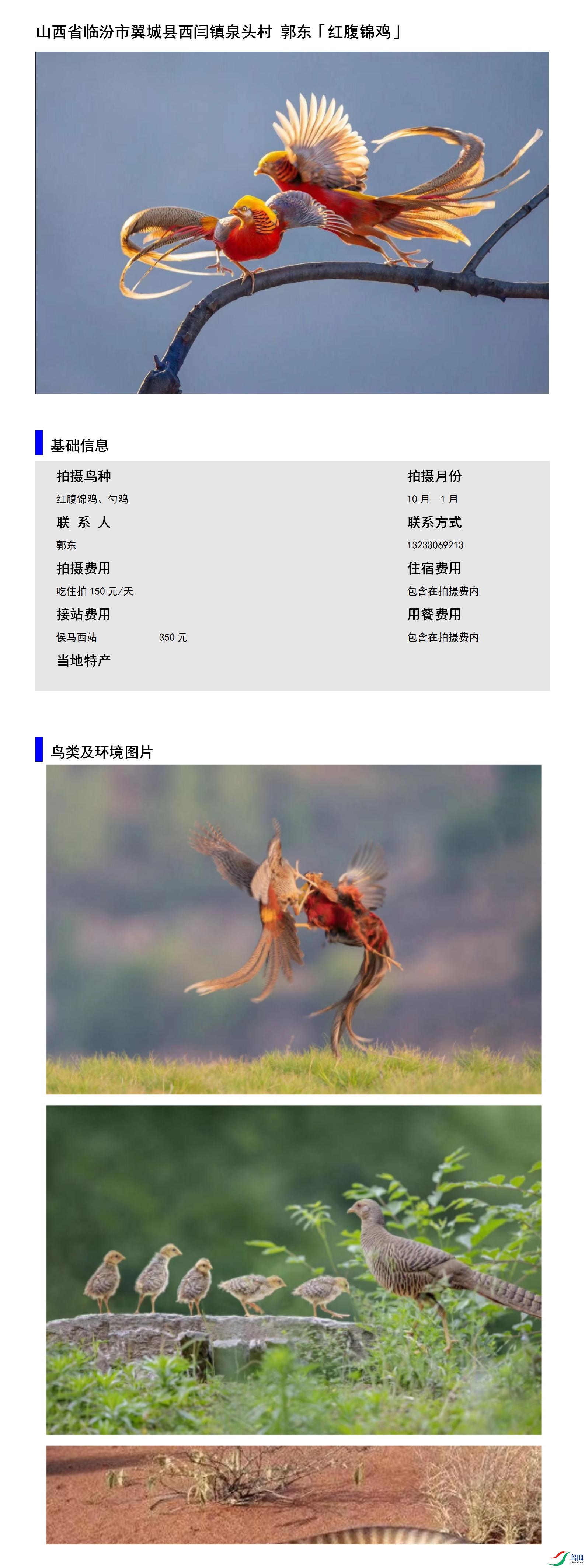 ɽ��ʡ�ٷ���������������Ȫͷ�� ����13233069213.jpg