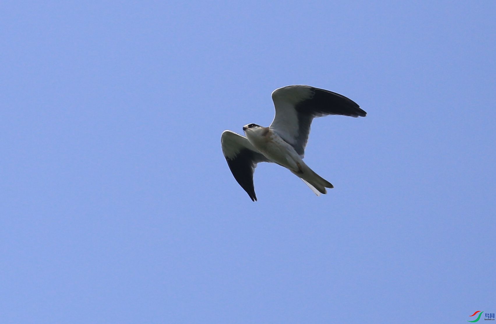 IMG_5842.JPG