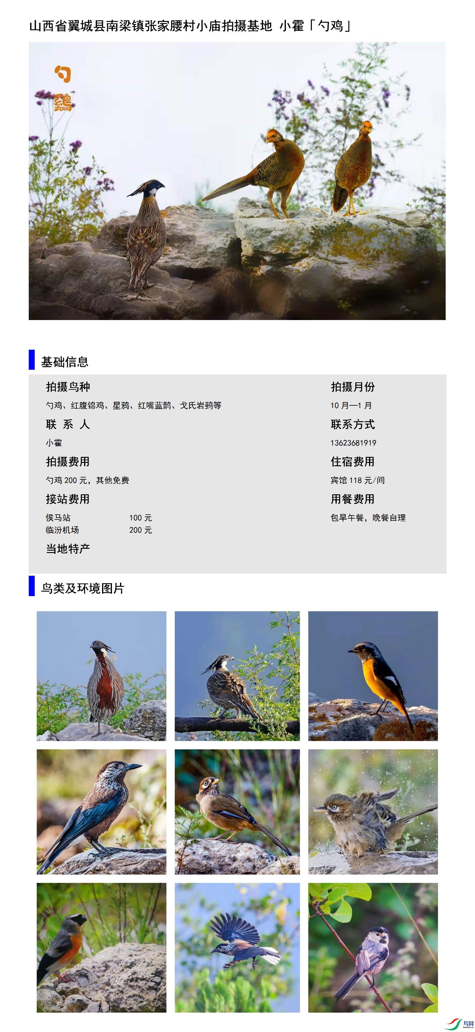 ɽ��ʡ�������������ż�����С��������� С��13623681919.jpg