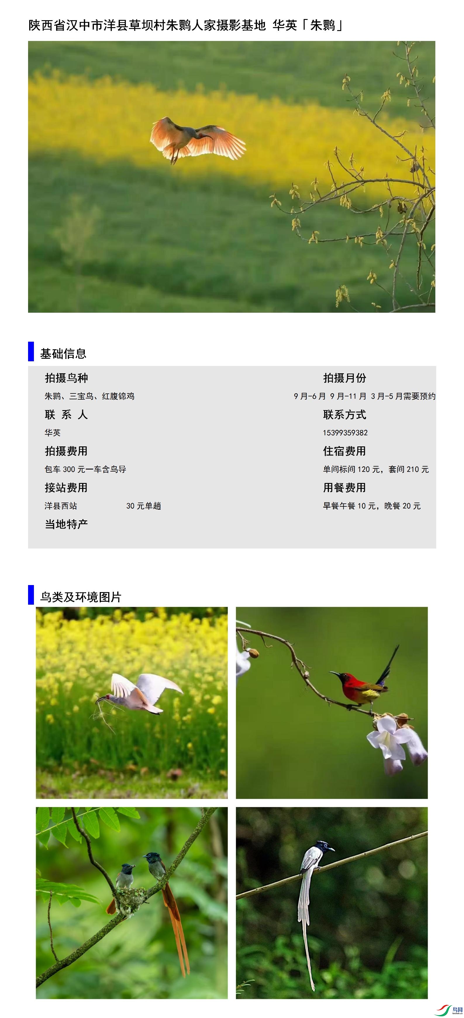 ����ʡ���������زݰӴ����q�˼���Ӱ���� ��Ӣ15399359382.jpg