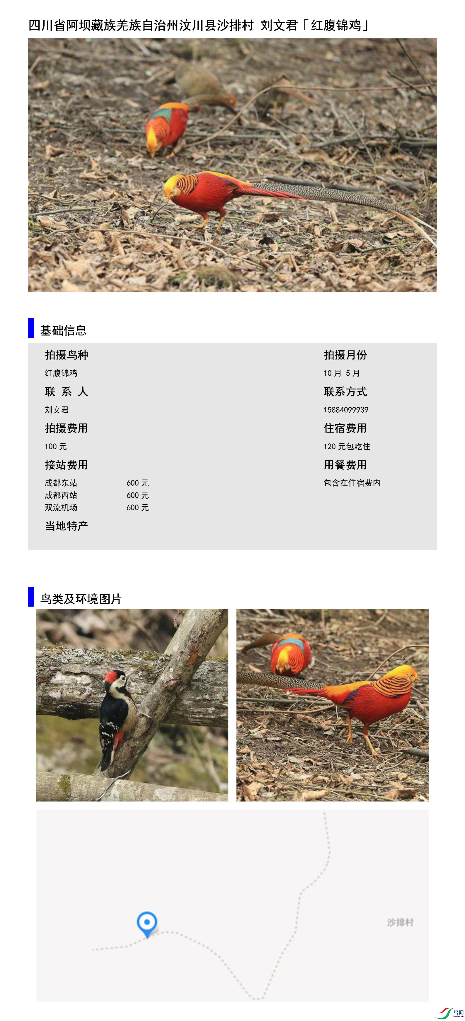 �Ĵ�ʡ���Ӳ���Ǽ���������봨��ɳ�Ŵ� ���ľ�15884099939.jpg