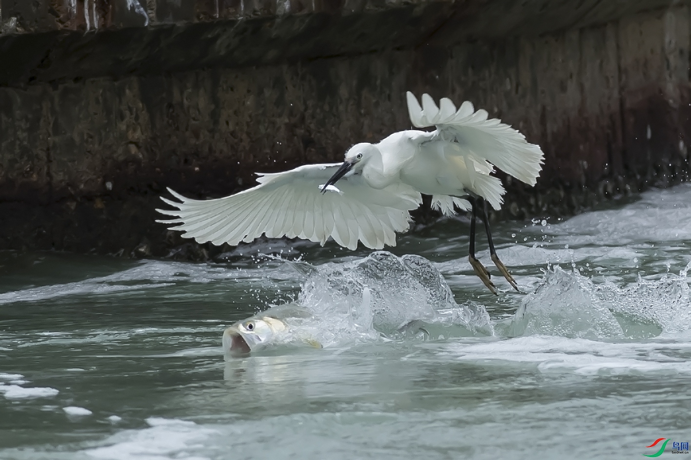 DSC_3623-1.jpg