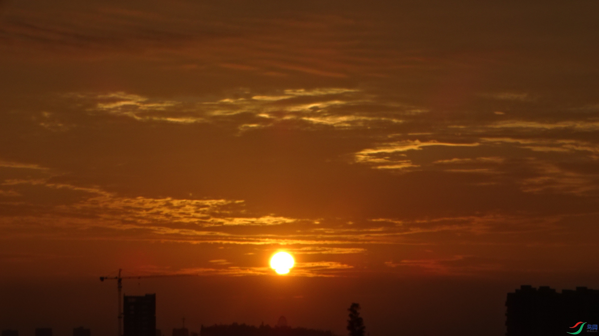 DSC00994.JPG