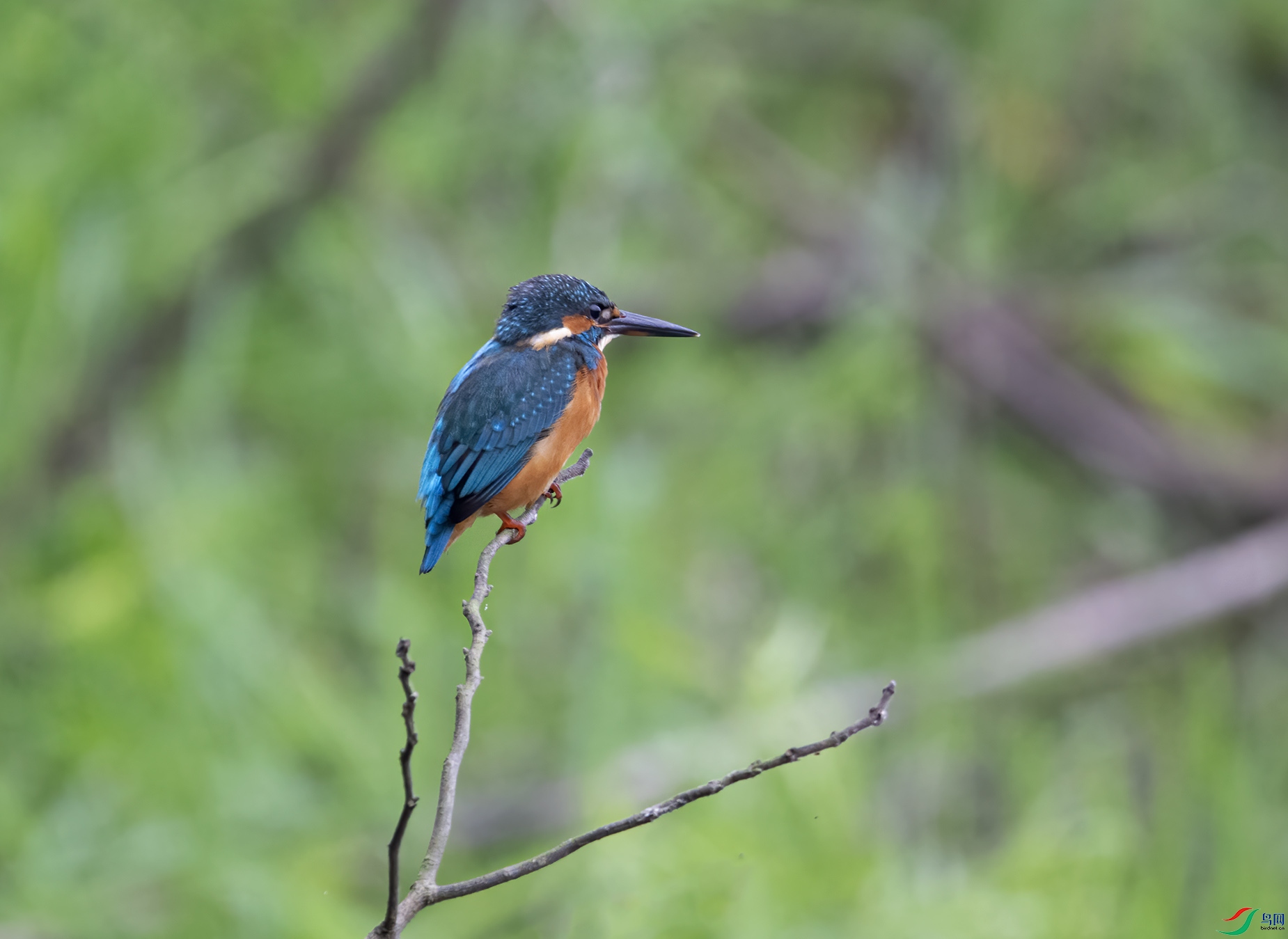 DSC_6469.jpg