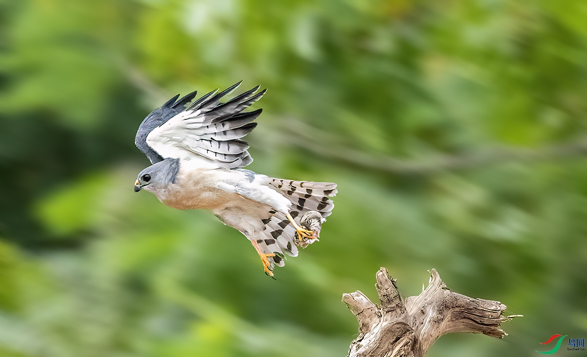 _58I3285 �ูӥ3��С���أ�.jpg