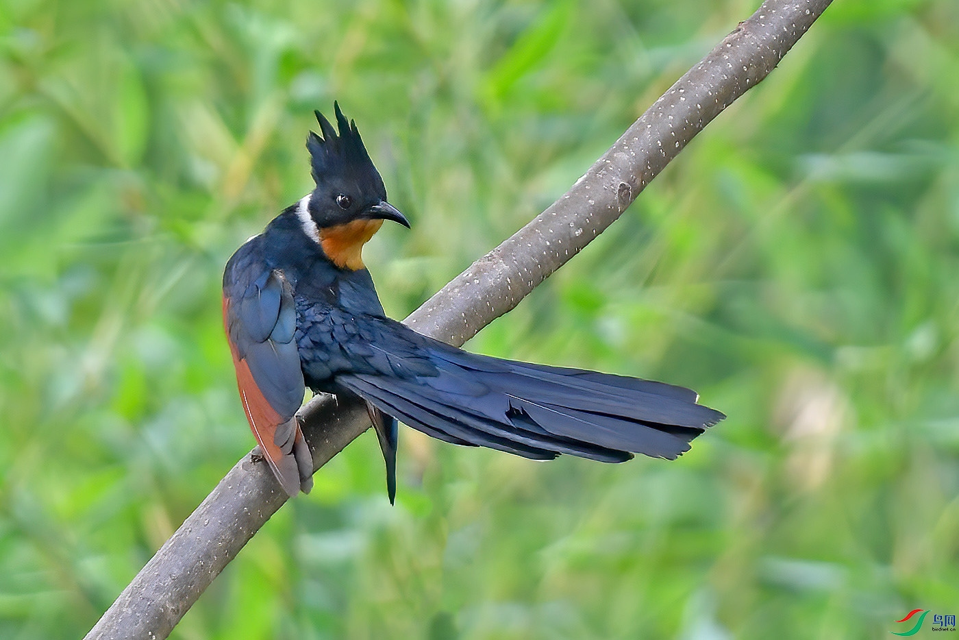 DSC_7358aa.jpg