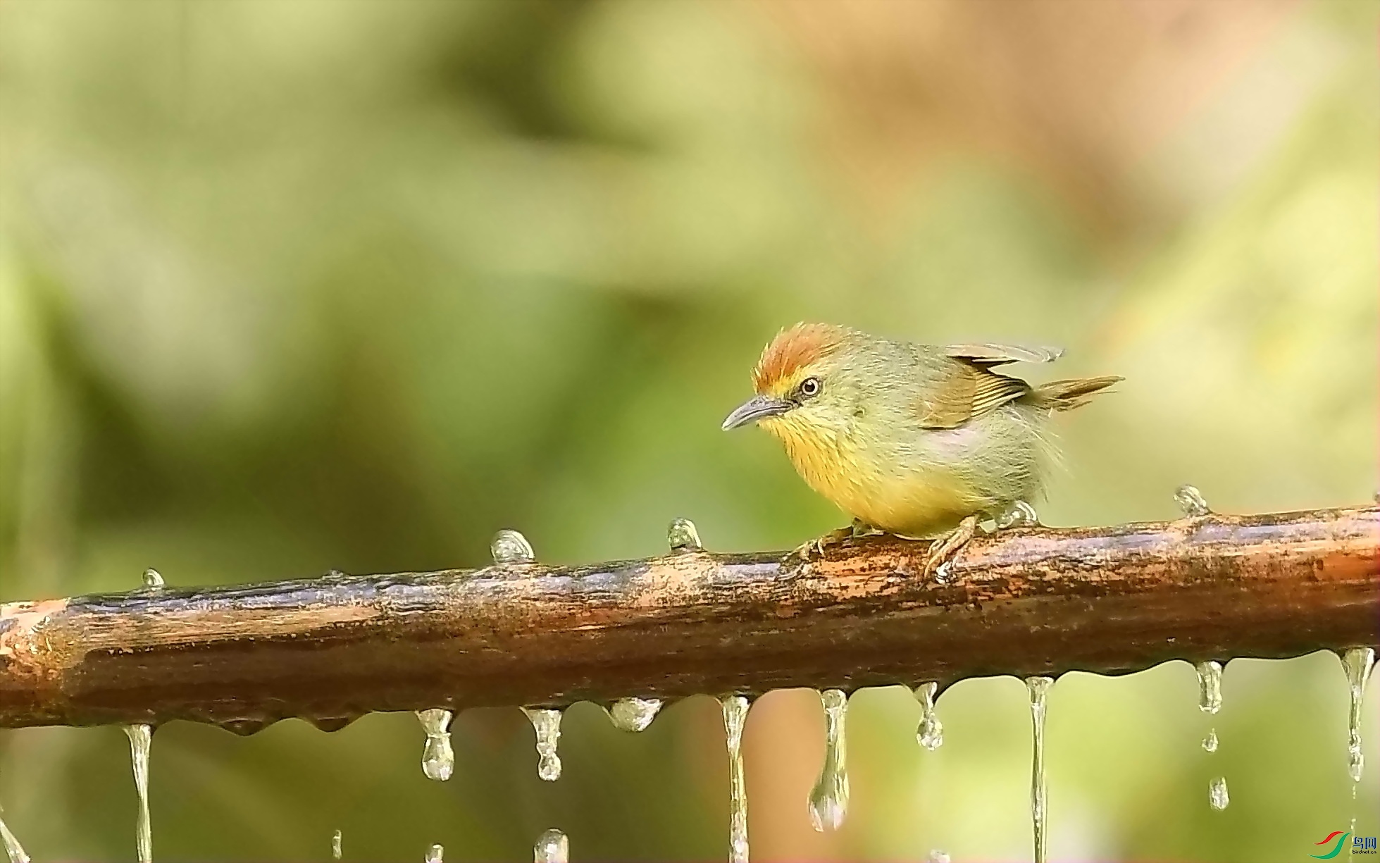 DSC_5909_����.jpg
