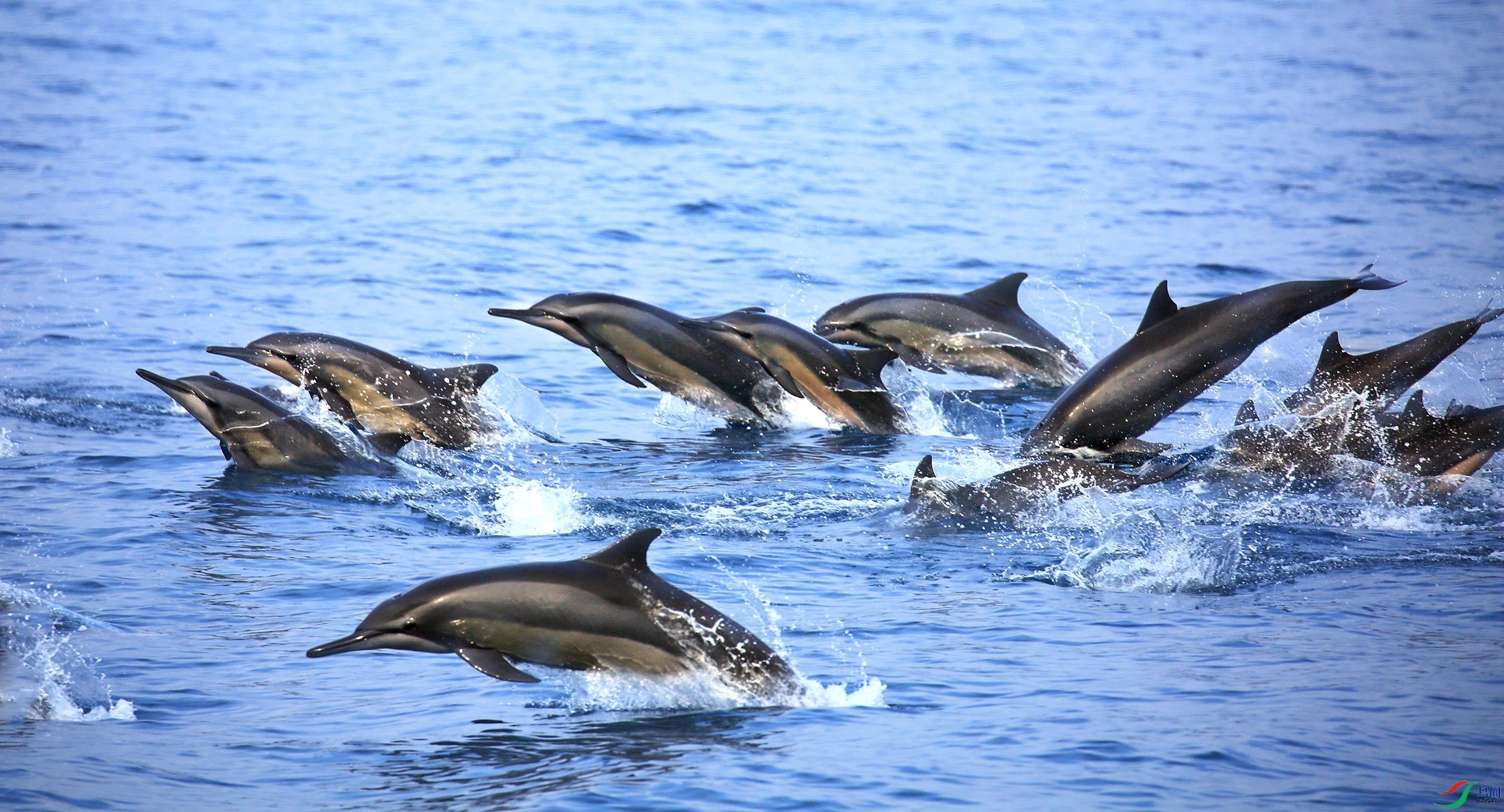 ����ĺ���