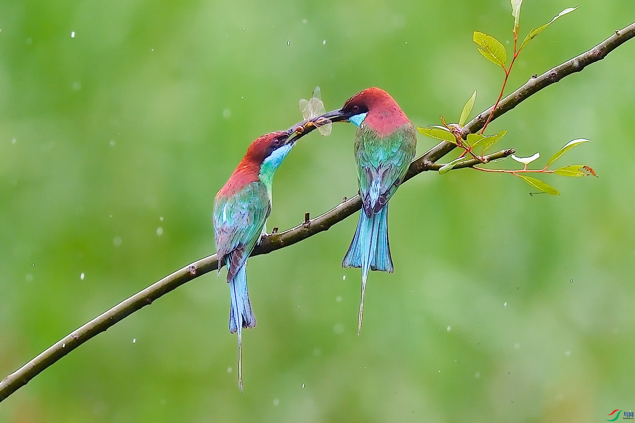 ���д���