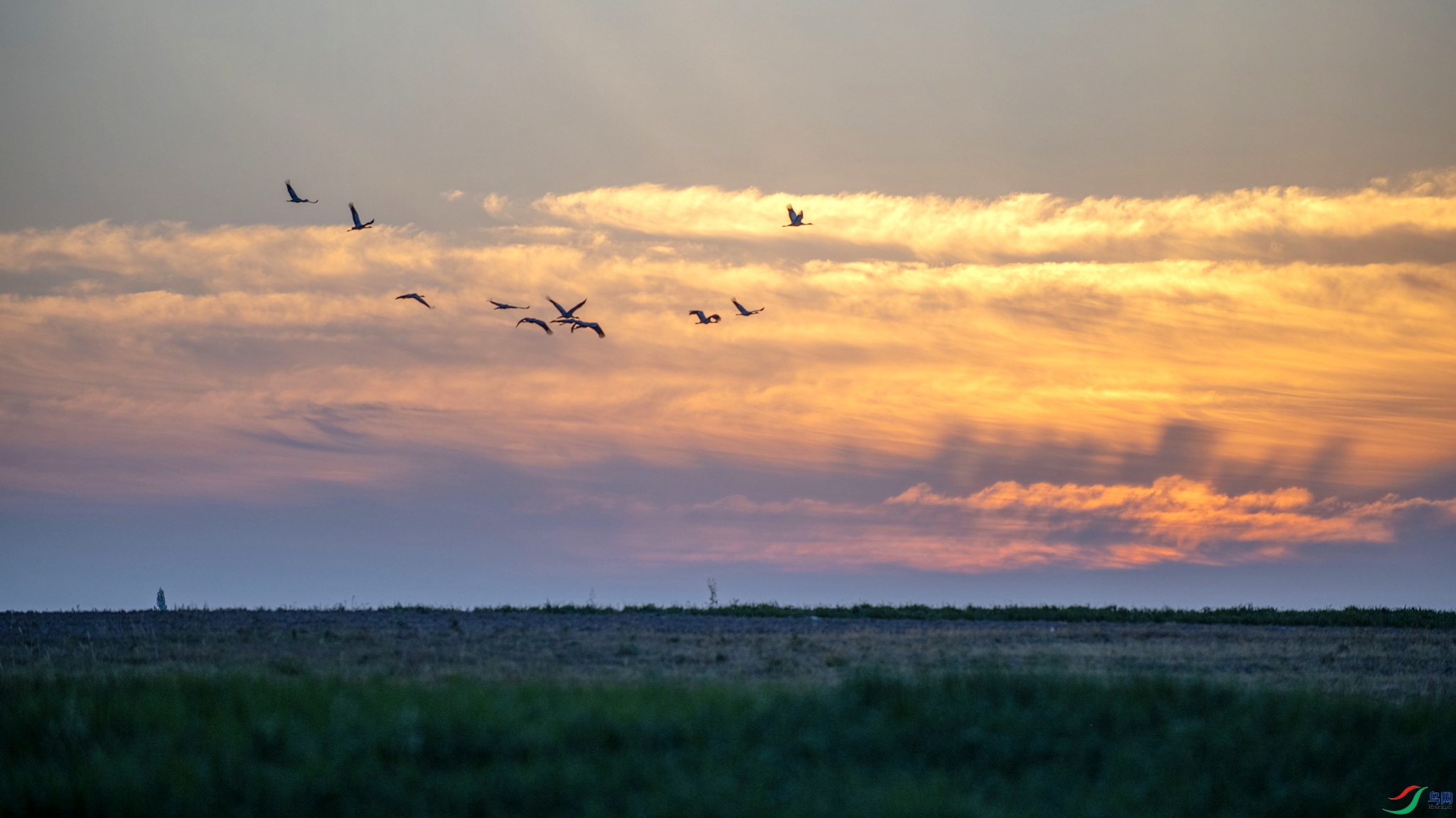 DSC_5094AF01.jpg