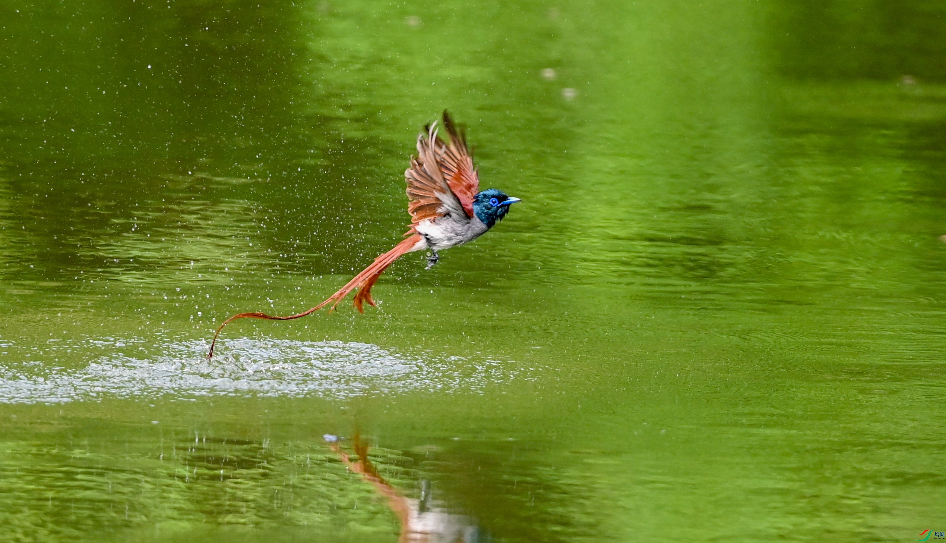 ������ӳ