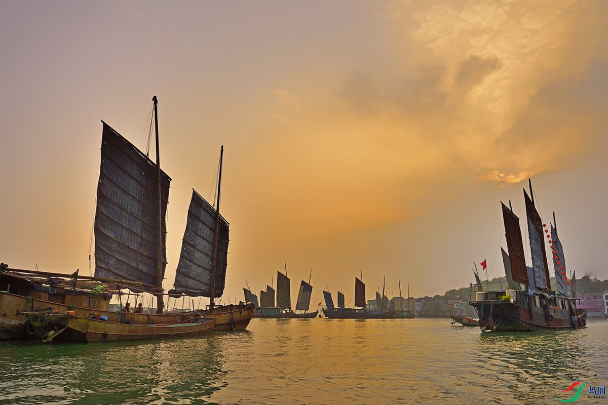 _DSC8024.jpg