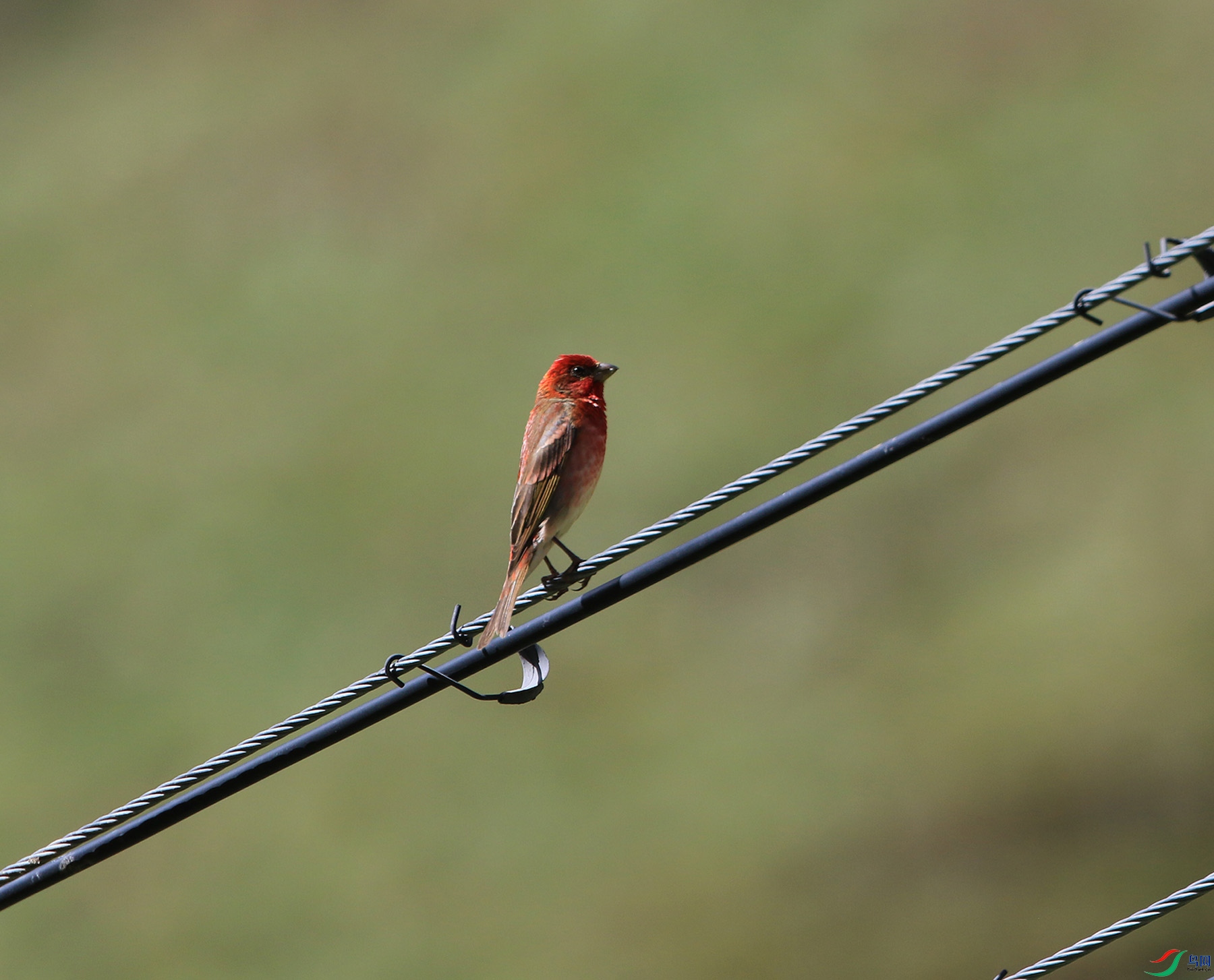 8I8A4899.JPG