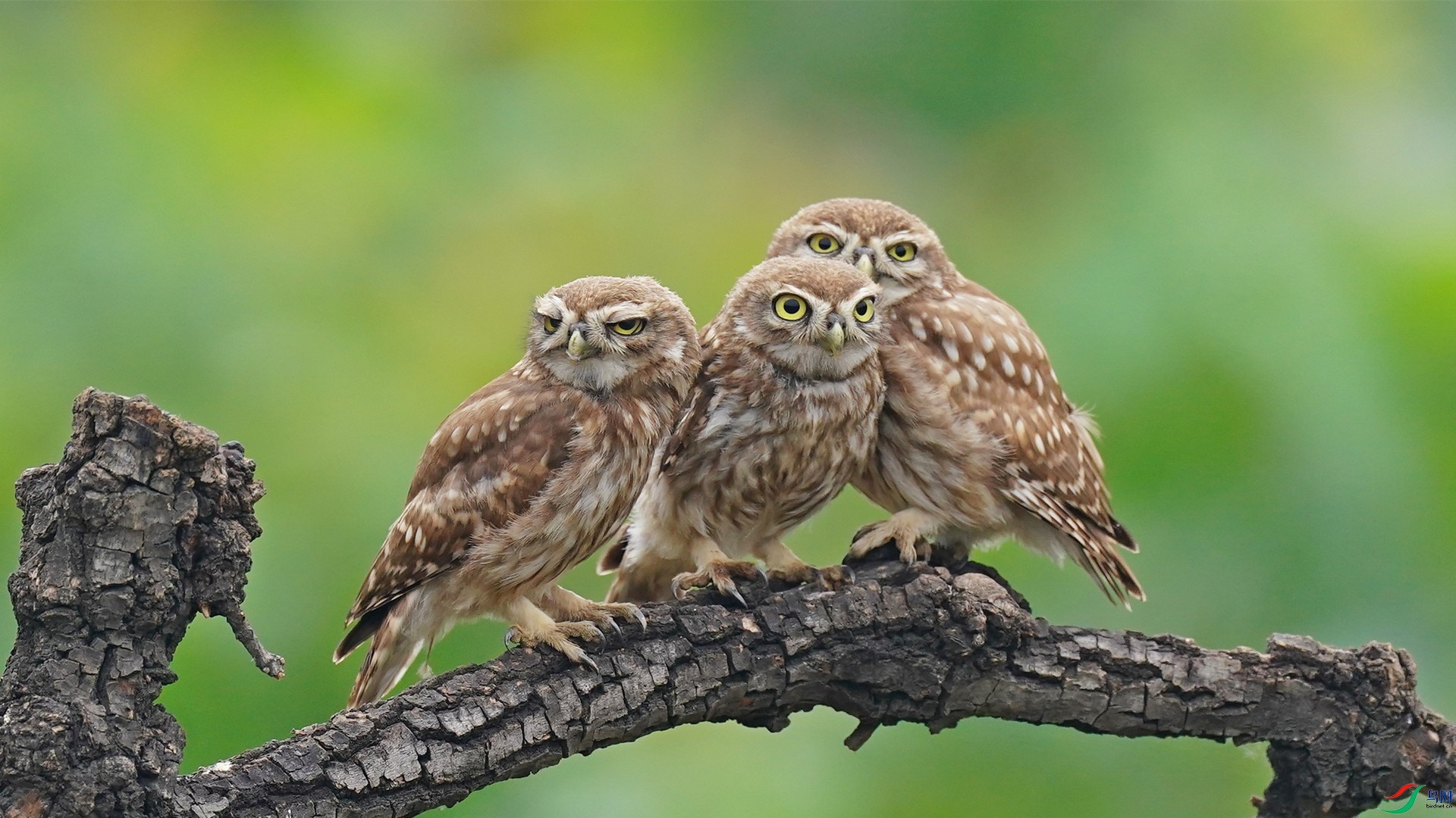 DSC03152 (2)_����.jpg