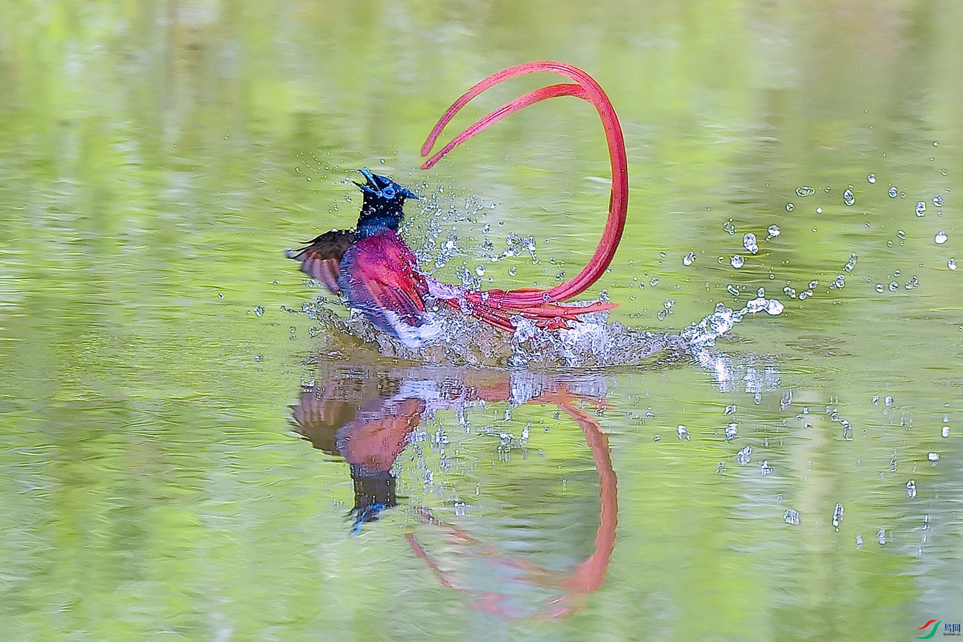 ���ֵ���ԡ