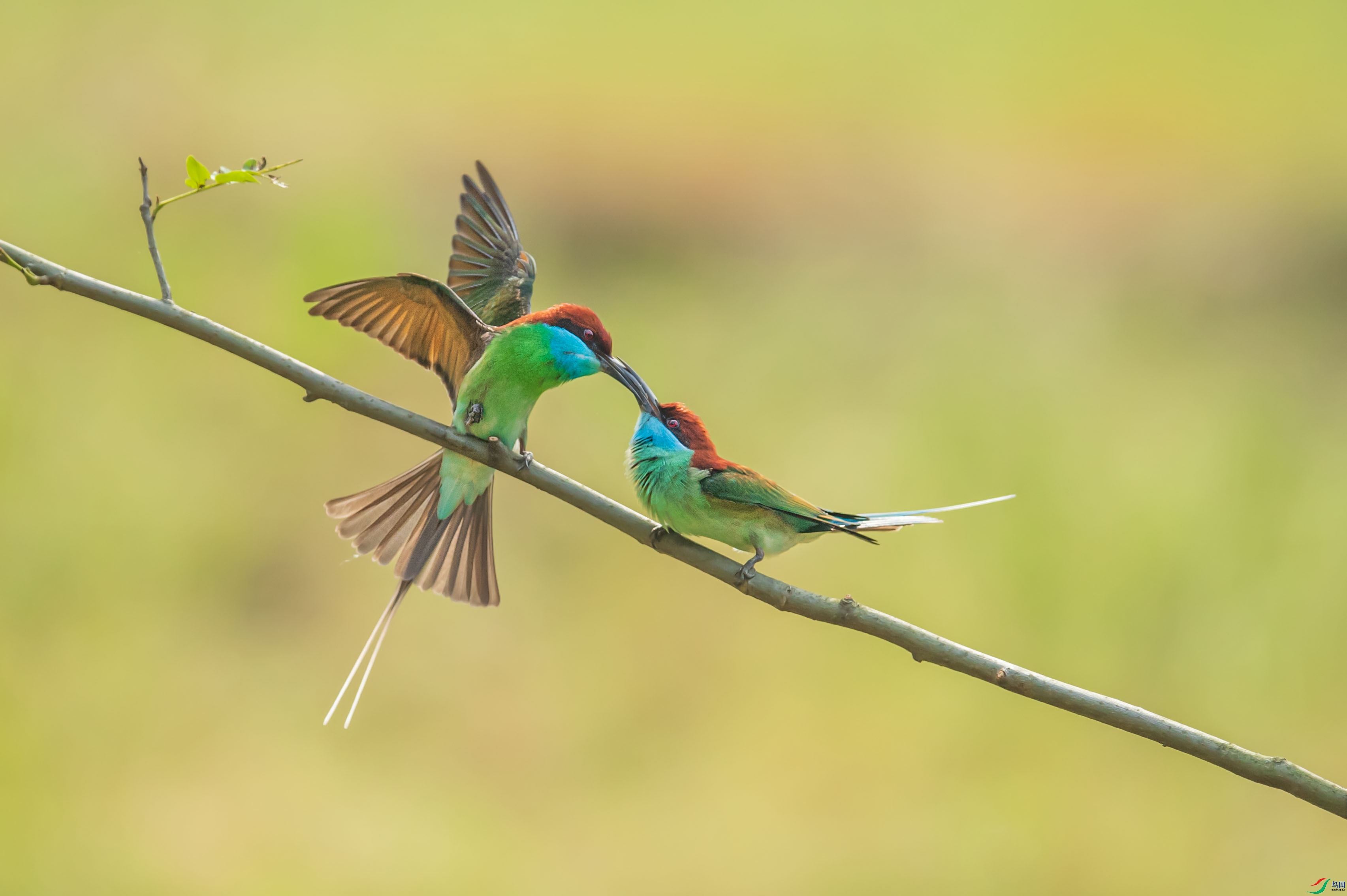 WGB_4319-1.jpg