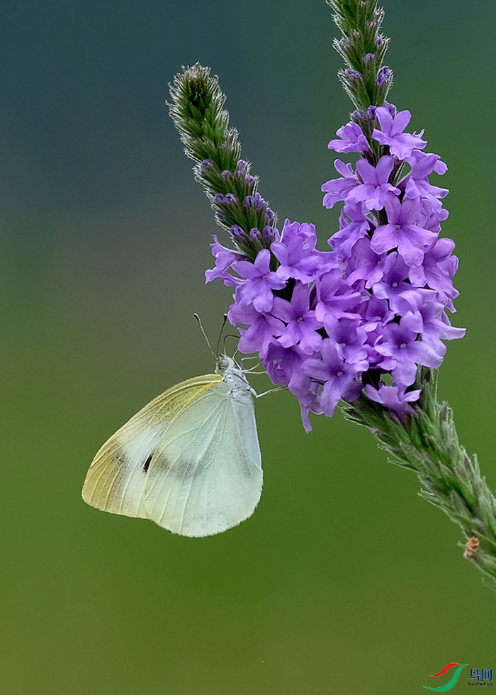 DSCF3312.JPG