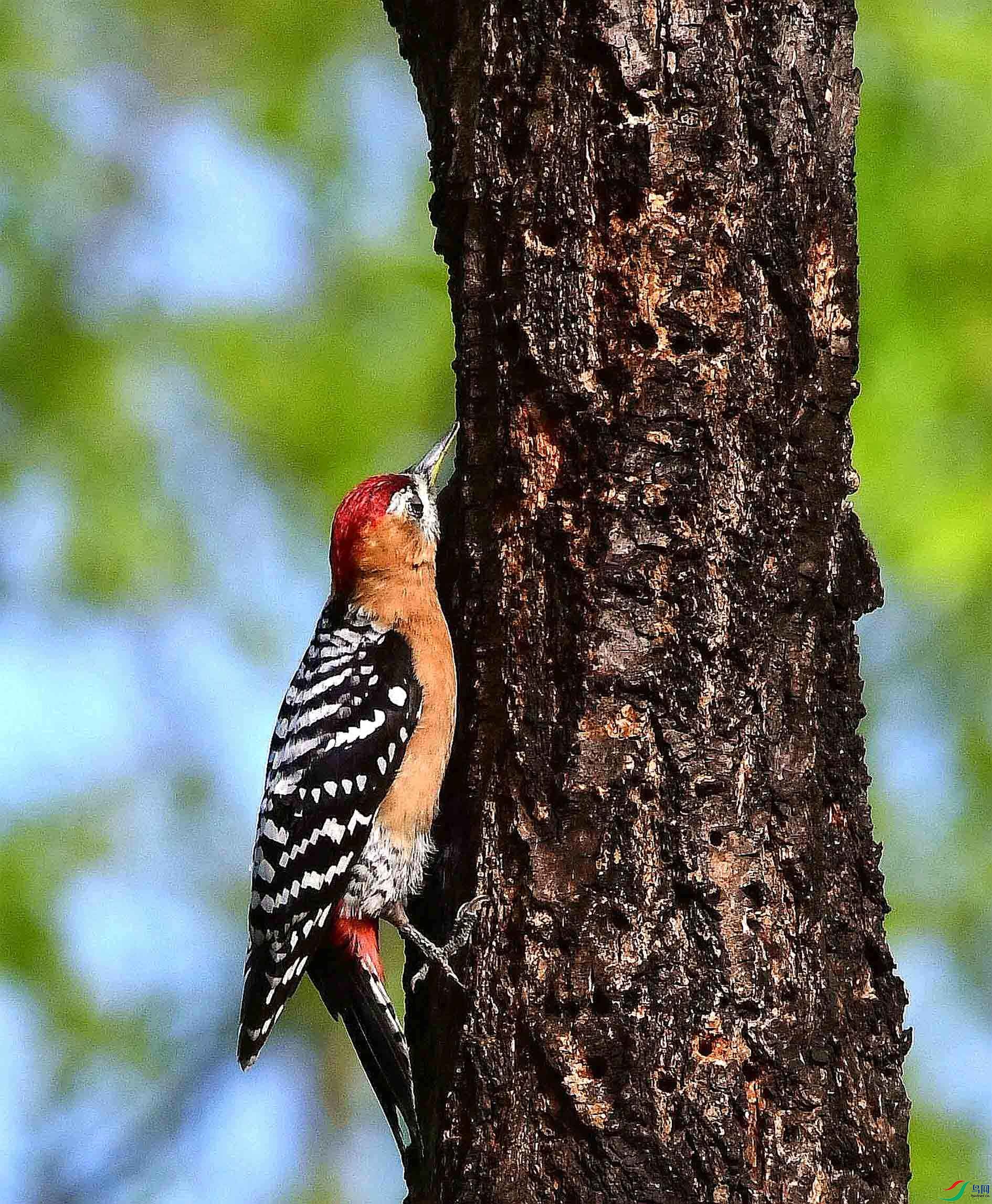 DSC_8428_����.jpg