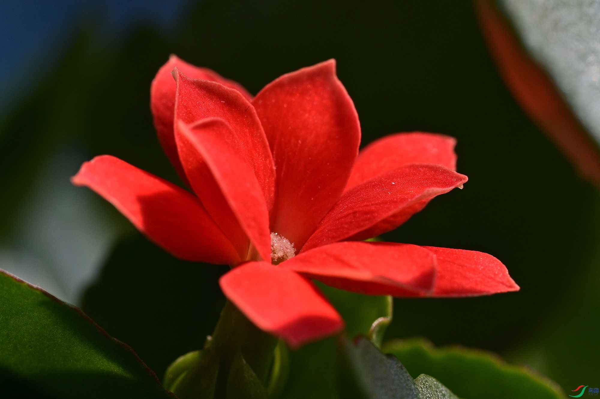 DSC_3062.jpg