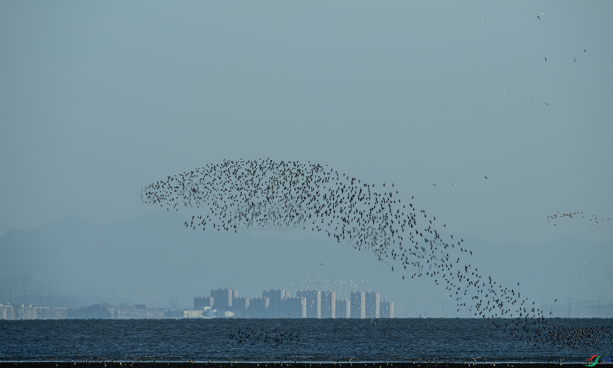 DSC_0579.jpg