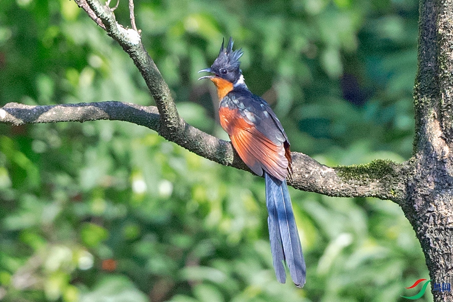 ��DSC_5198.jpg