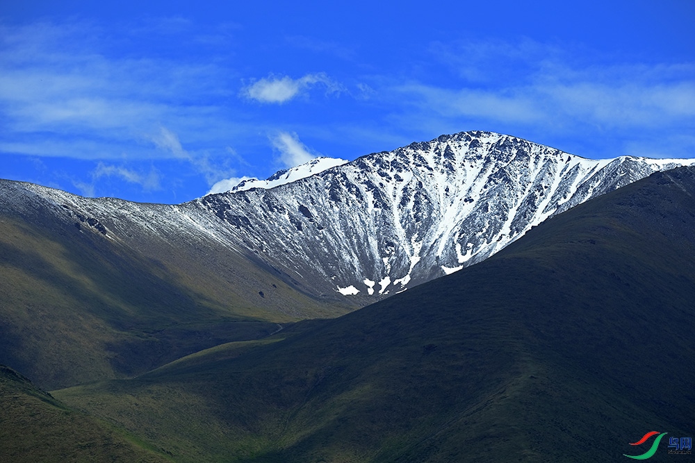 _DSF3640.1.JPG