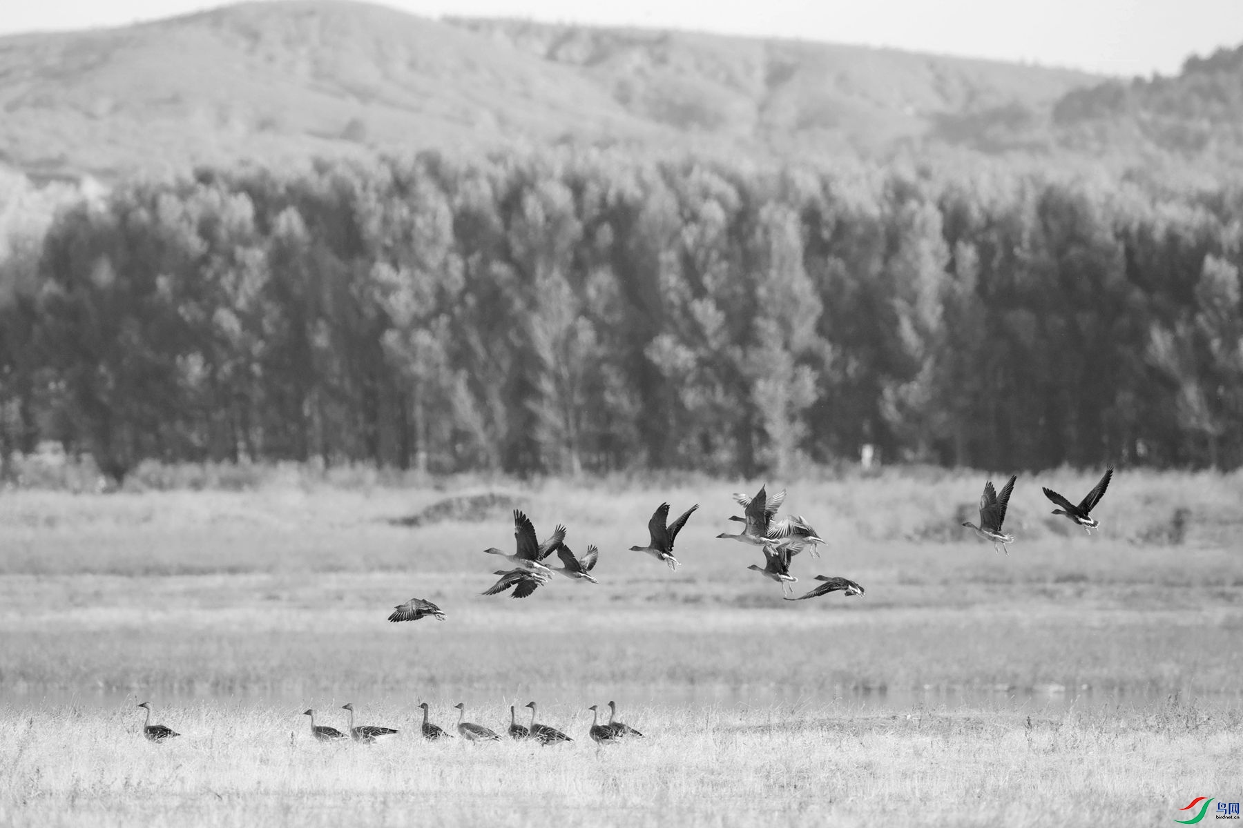 _DSC7459_����_����.jpg