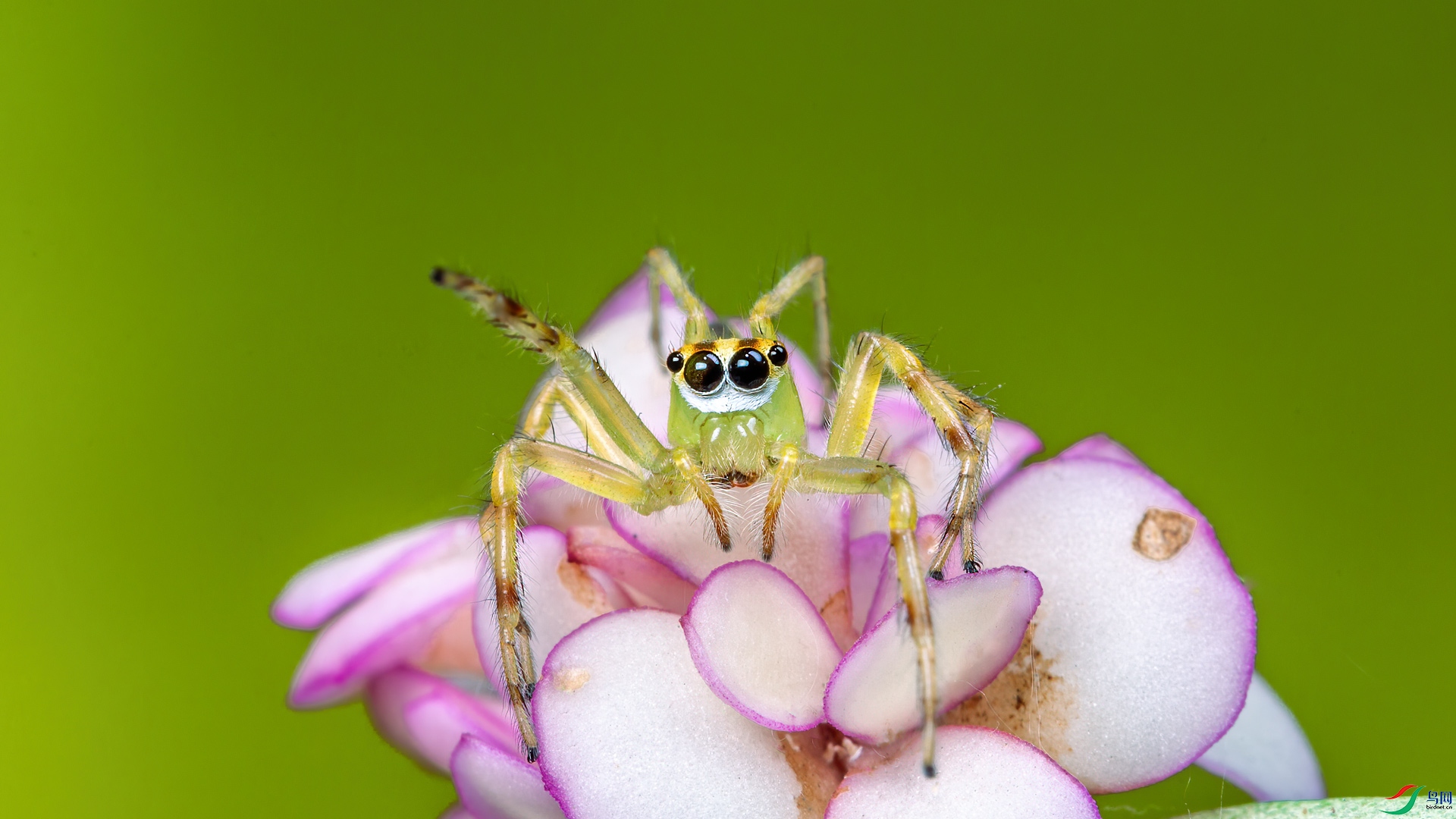 2S6A0878-1.jpg