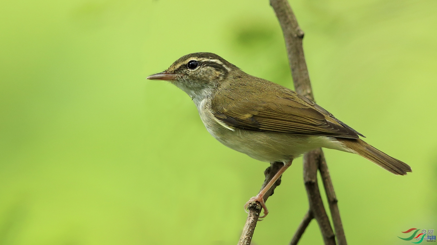 ȸ����Ӱ  ��ʦ�������Ϻ����ֶ�����.jpg