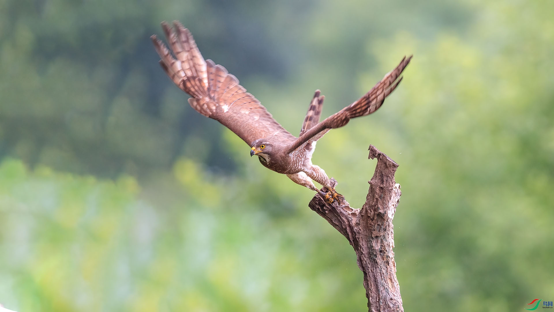 1DX_6550 ����.jpg