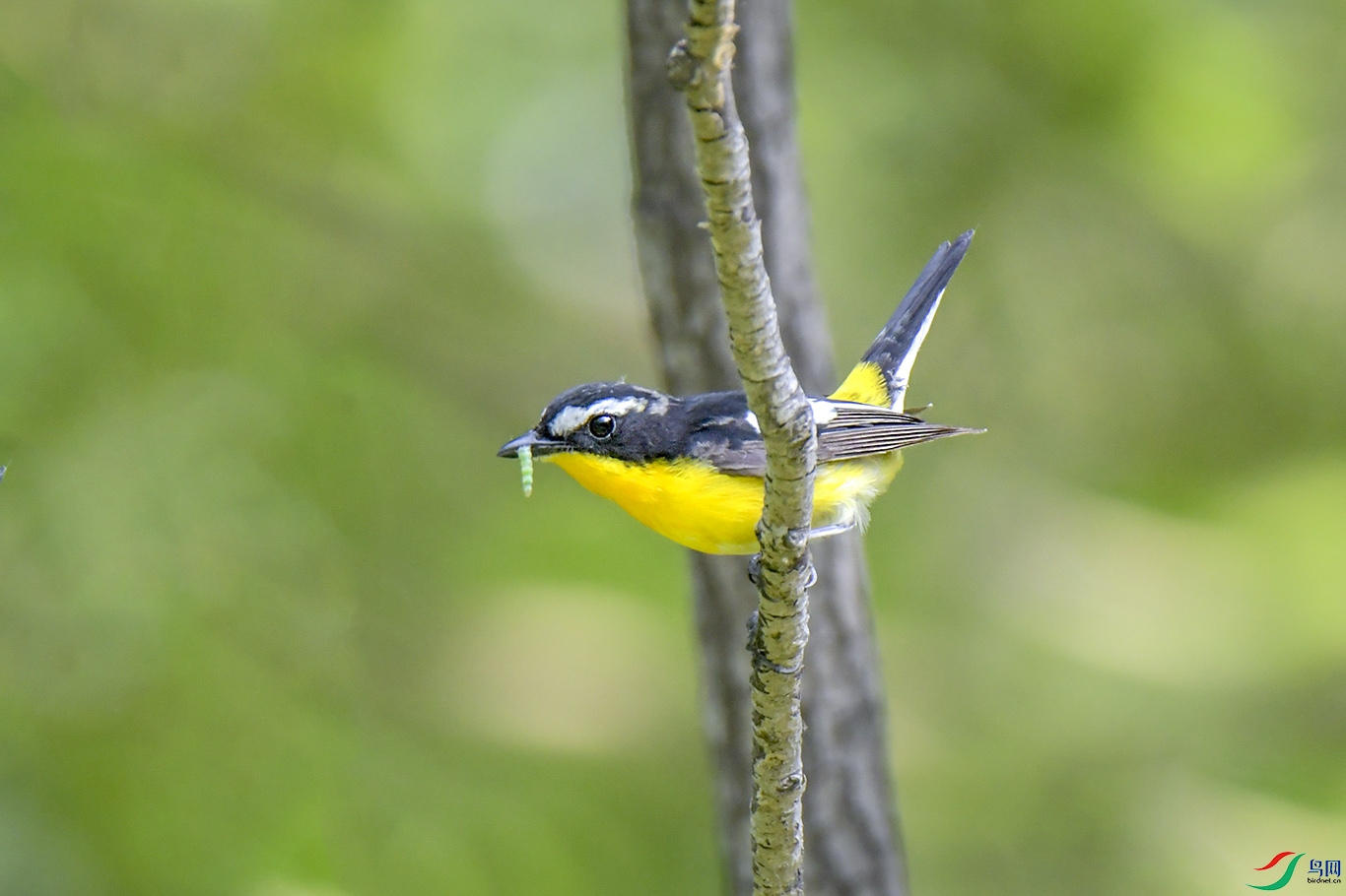 DSC_7015.jpg