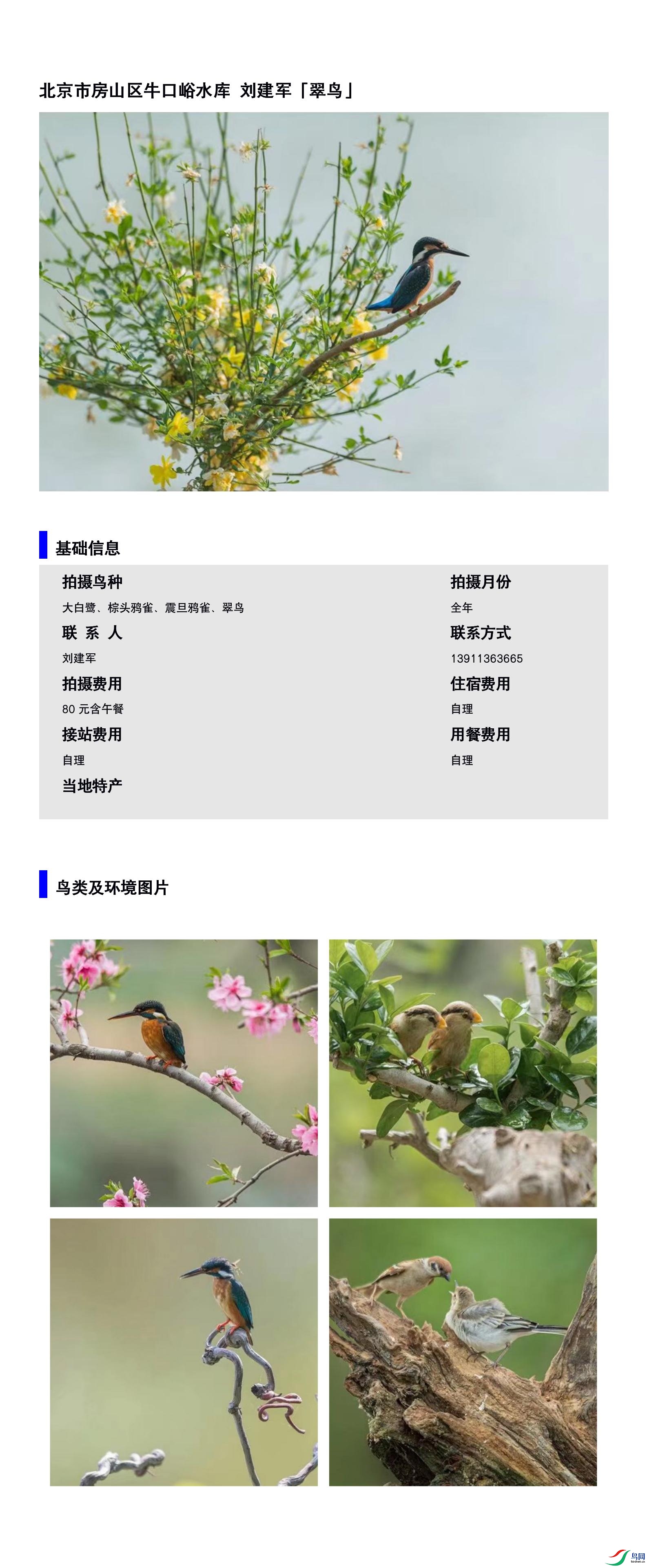 �����з�ɽ��ţ����ˮ�� ������13911363665.jpg