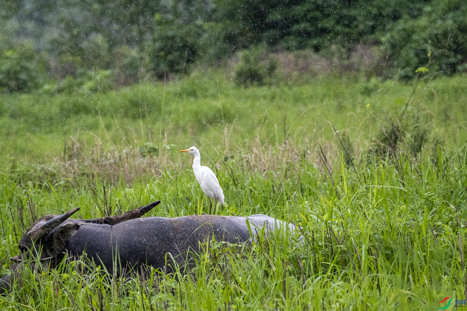 DSC_6312.jpg