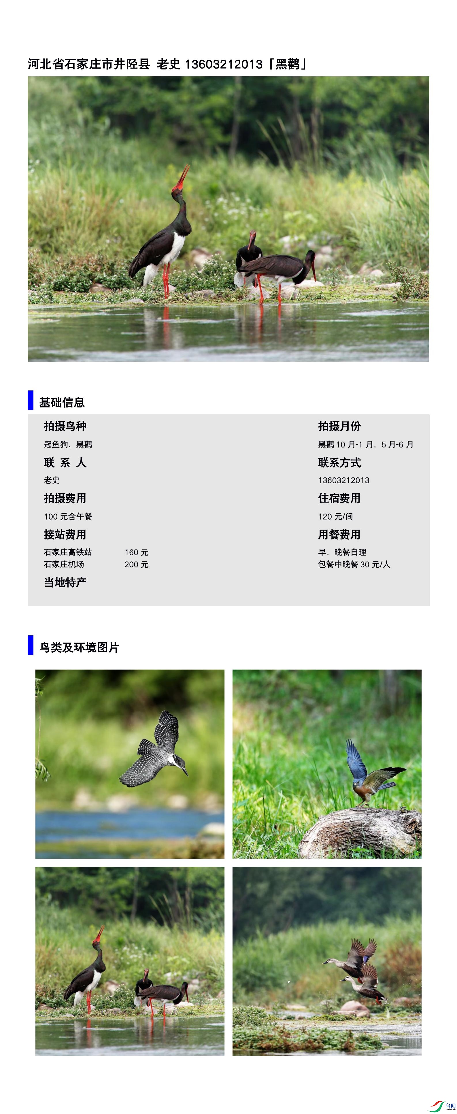 �ӱ�ʡʯ��ׯ�о����� ��ʷ13603212013.jpg