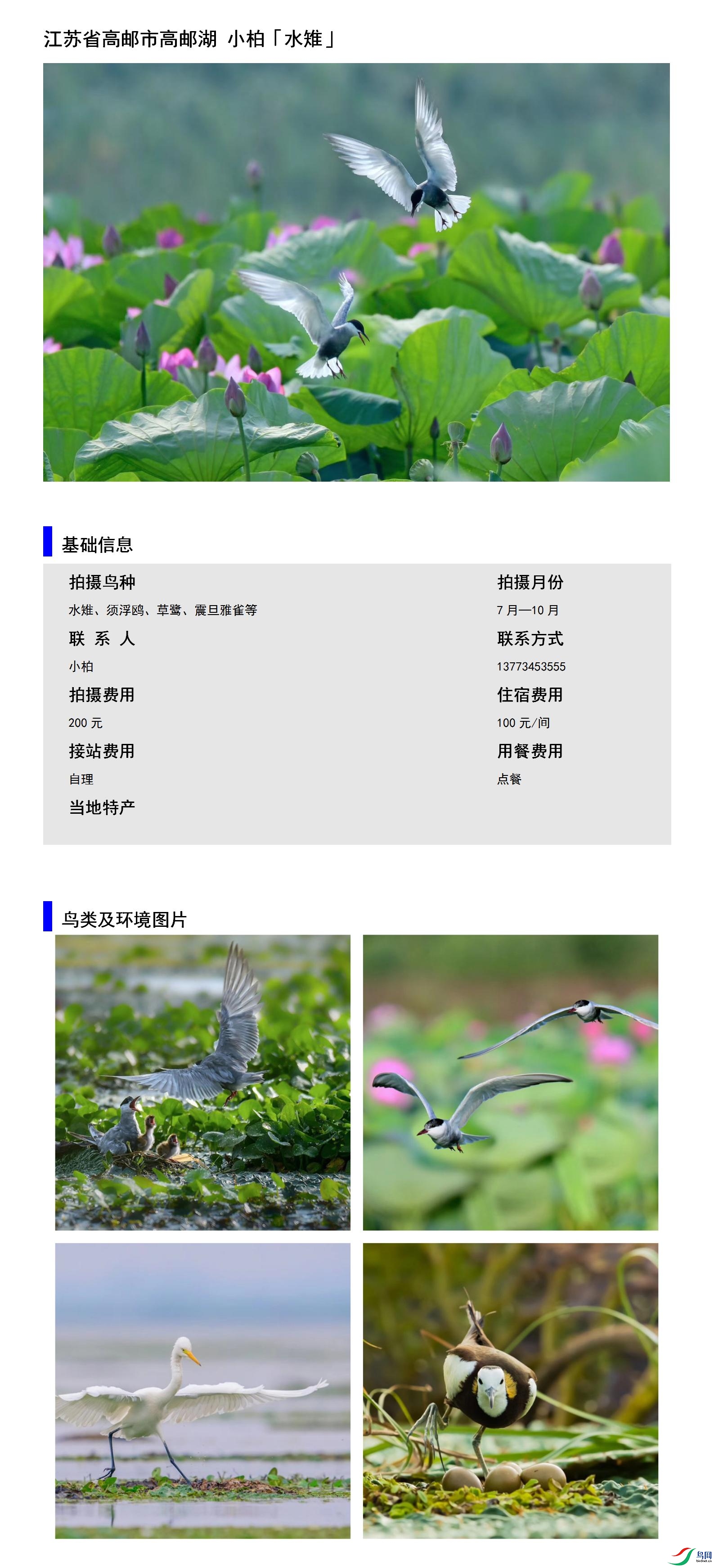 ����ʡ�����и��ʺ� С��13773453555.jpg