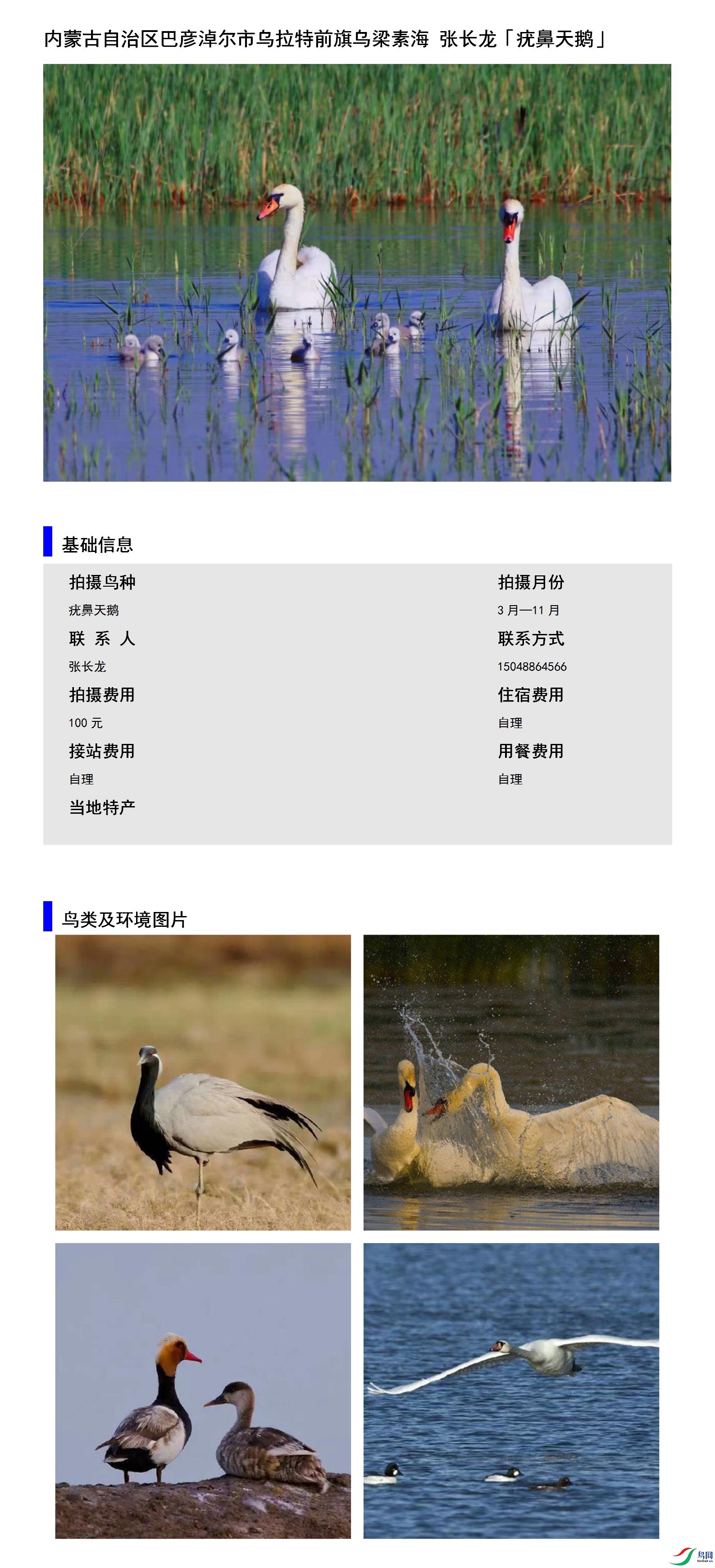 ���ɹ������������׶���������ǰ�������غ� �ų���15048864566.jpg