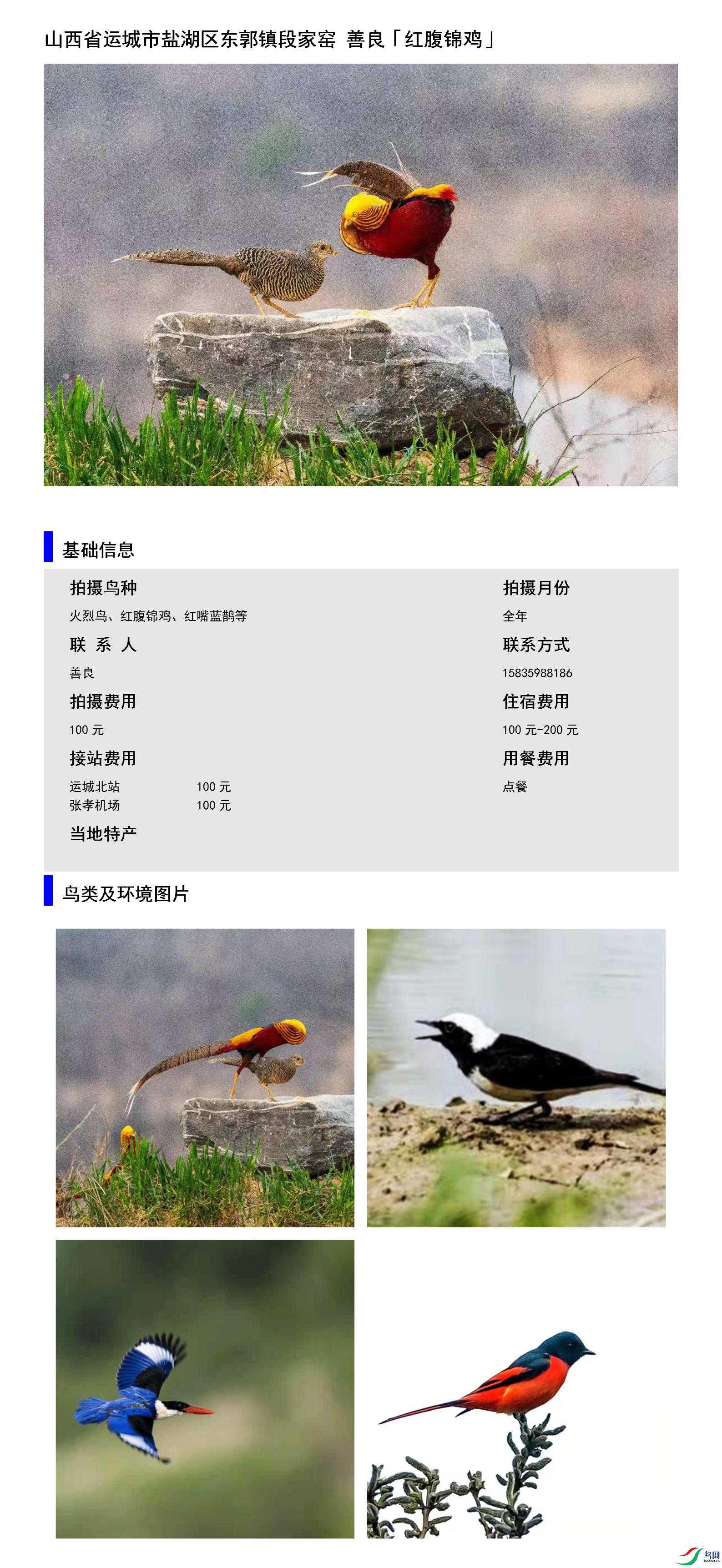 ɽ��ʡ�˳����κ���������μ�Ҥ ����15835988186.jpg