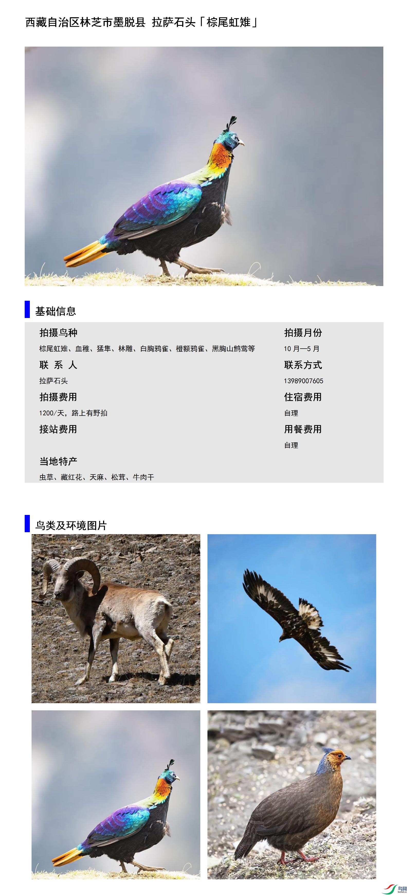 ������������֥��ī���� ����ʯͷ13989007605.jpg