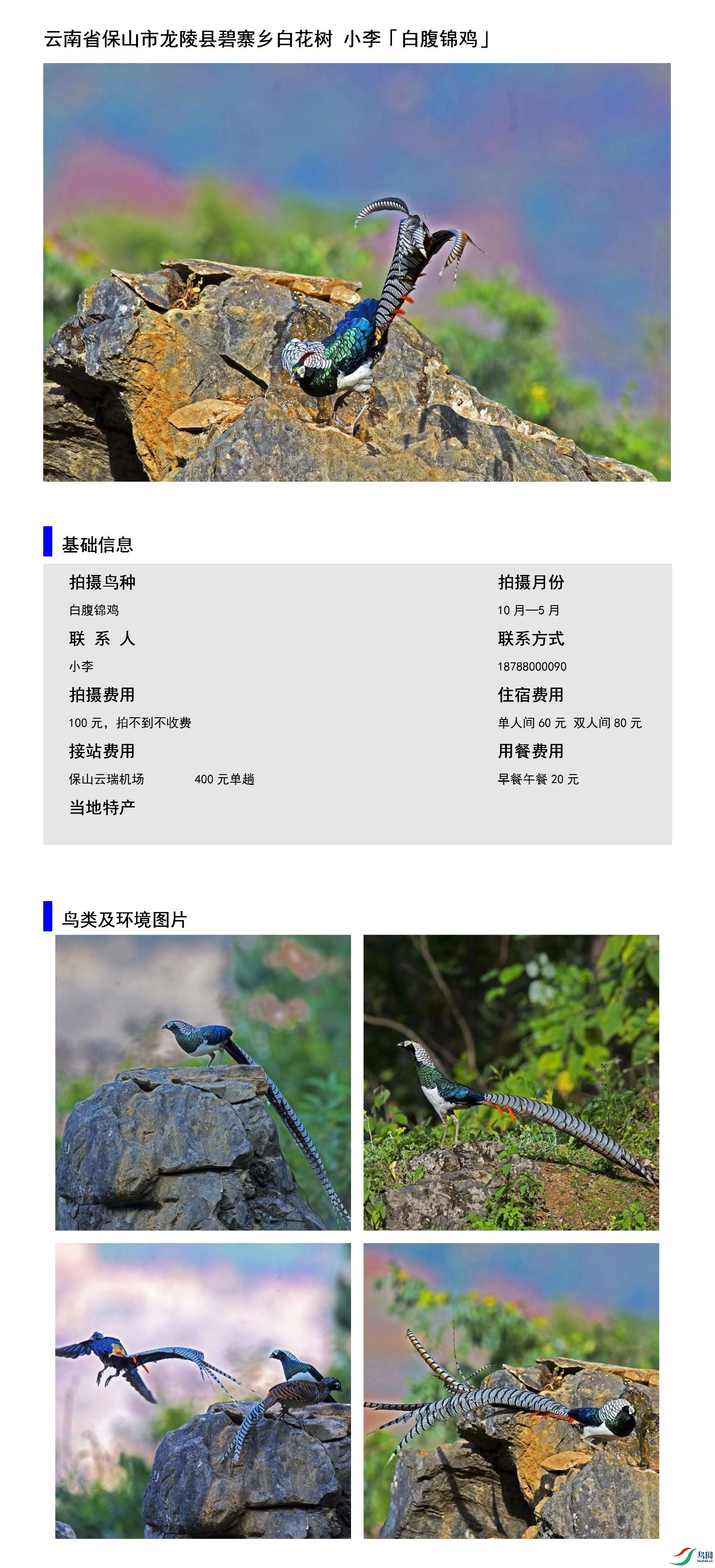 ����ʡ��ɽ�������ر�կ��׻��� С��18788000090.jpg