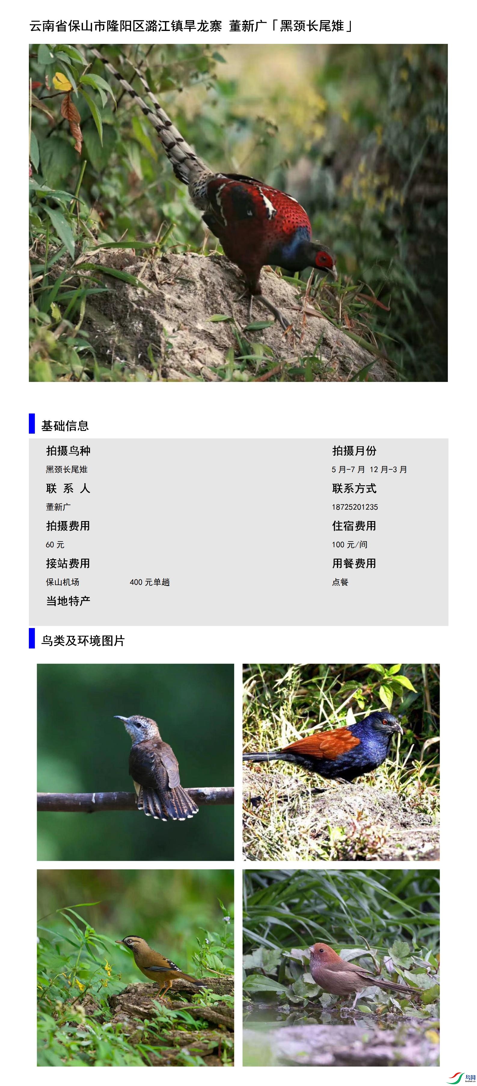 ����ʡ��ɽ��¡����º������կ ���¹�18725201235.jpg