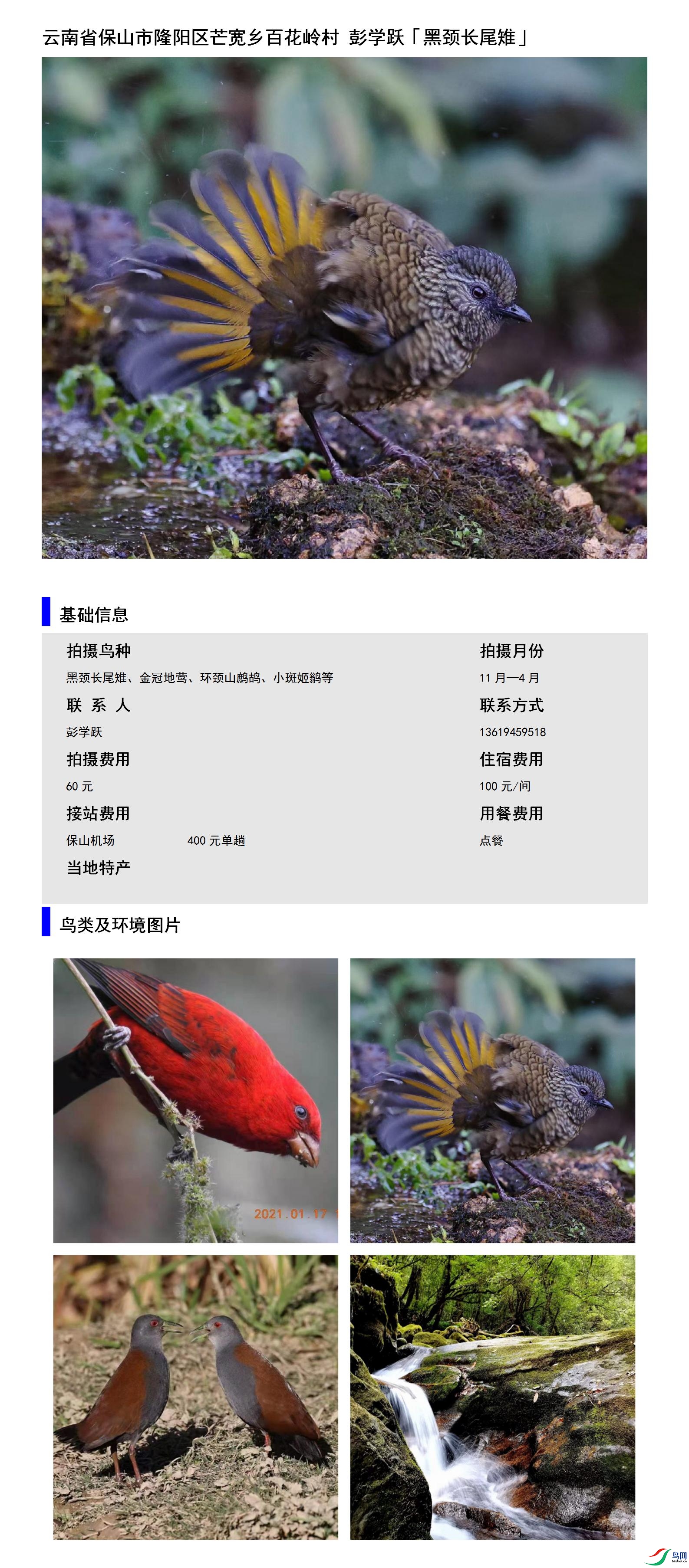 ����ʡ��ɽ��¡����â����ٻ���� ��ѧԾ13619459518.jpg