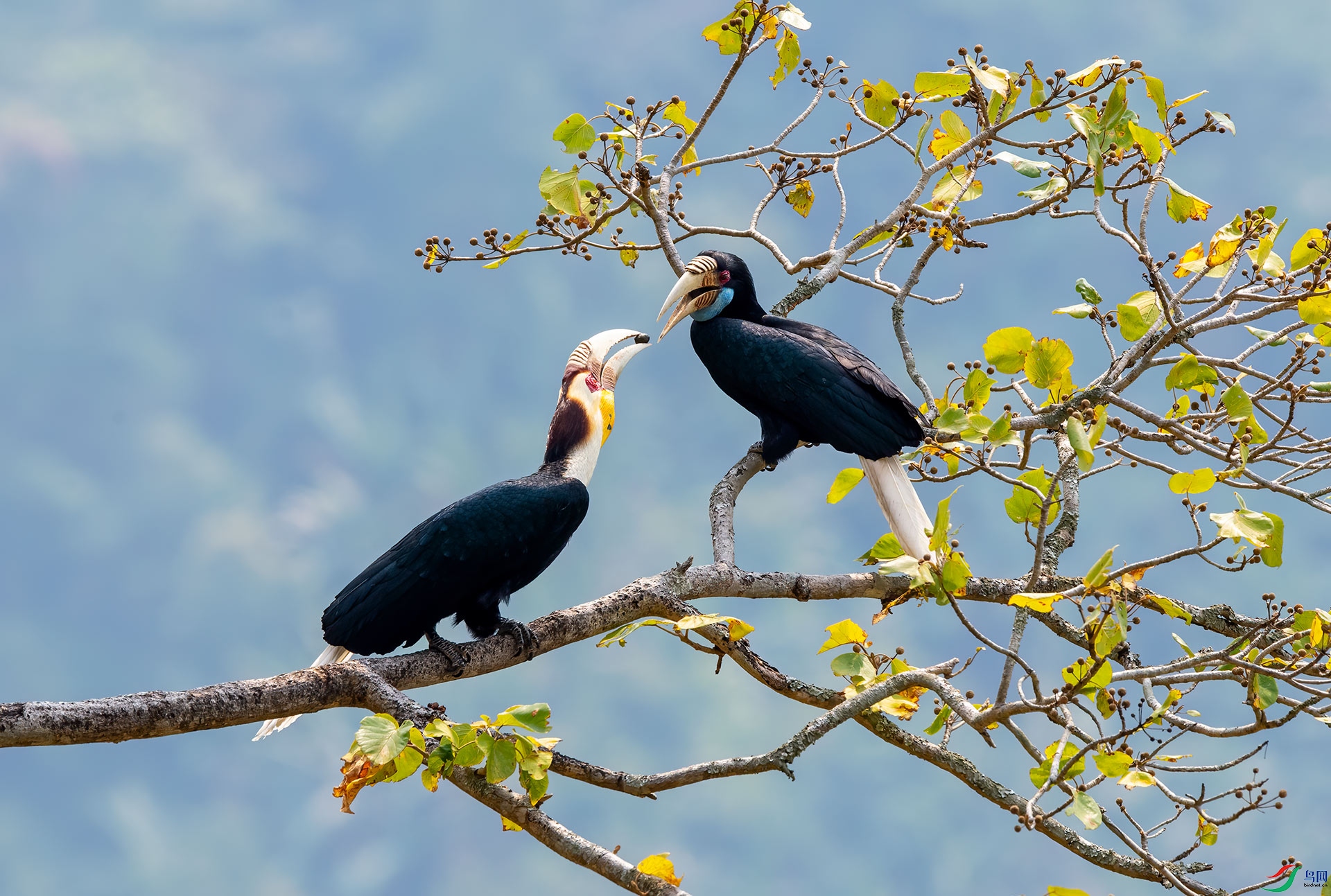 DSC_4179f.jpg