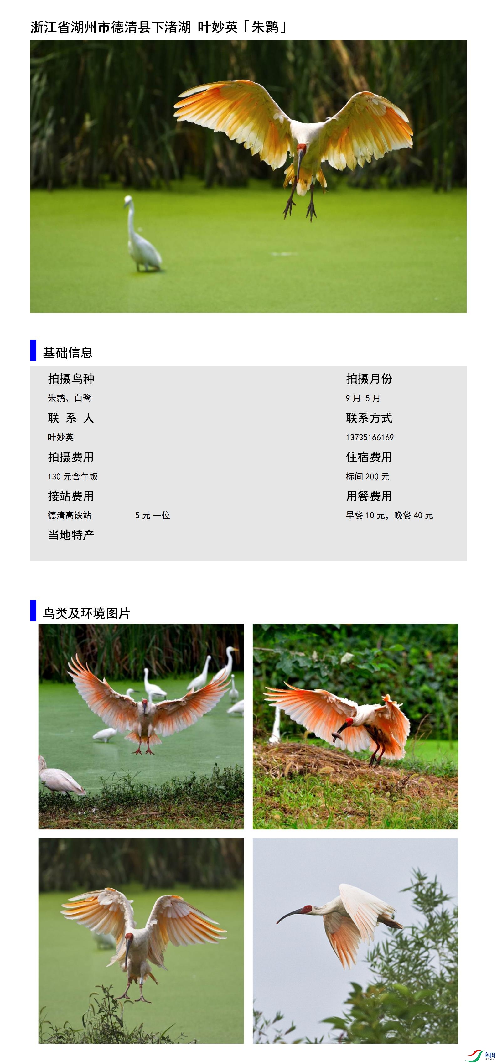 �㽭ʡ�����е�������侺� Ҷ��Ӣ13735166169.jpg