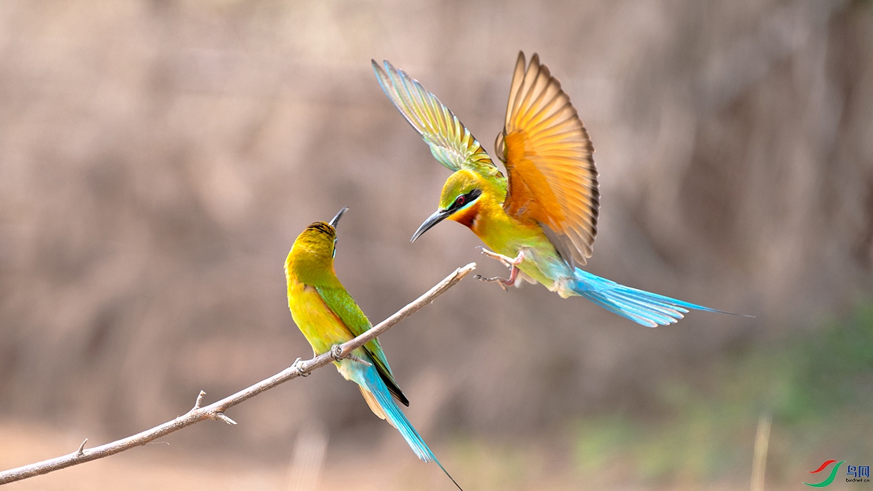 ��DSC_4019.jpg