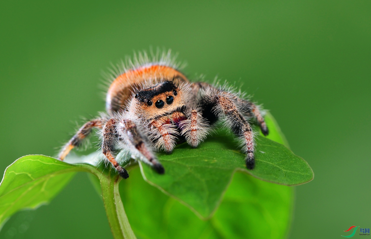 DSC_6198 ��������.jpg