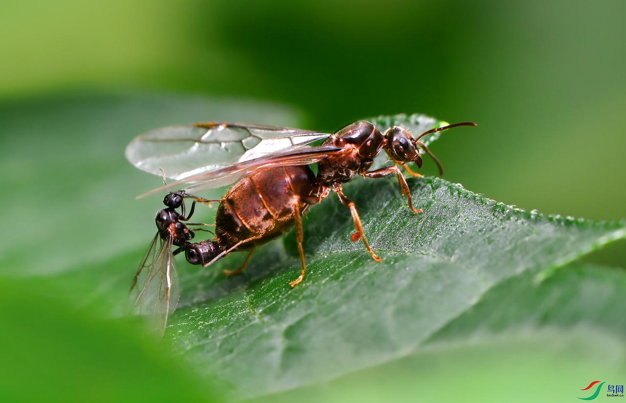 DSC_6932 ����.jpg