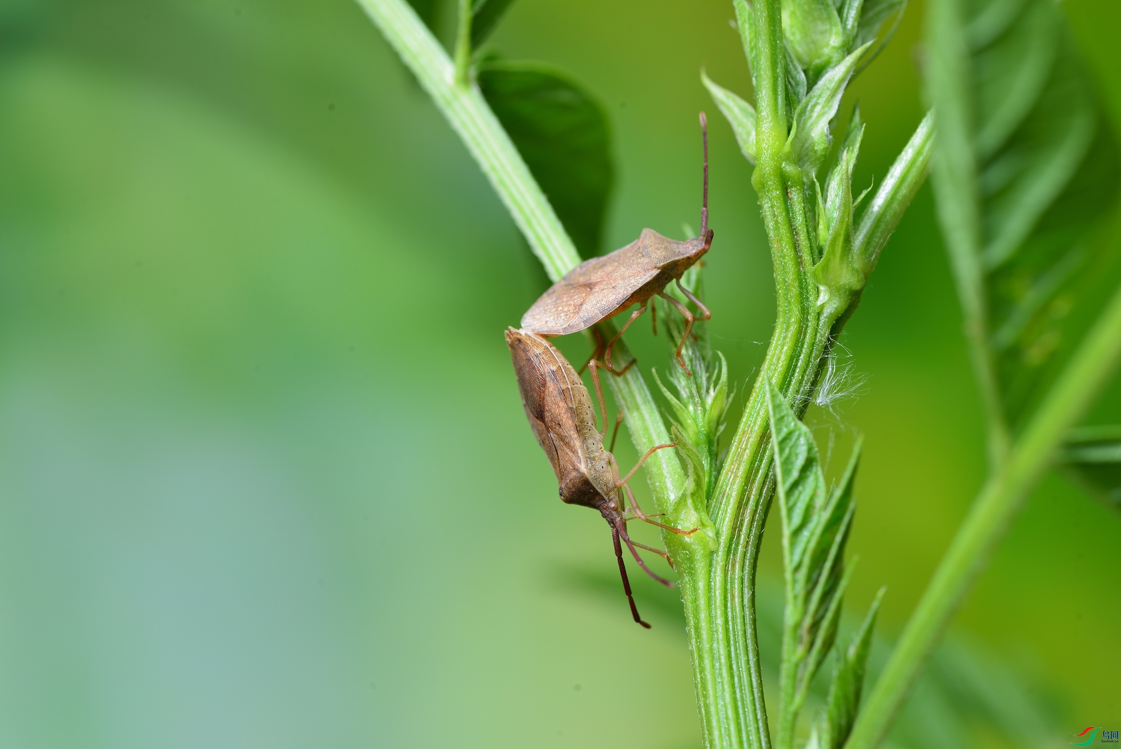 DSC_8058_00001.jpg