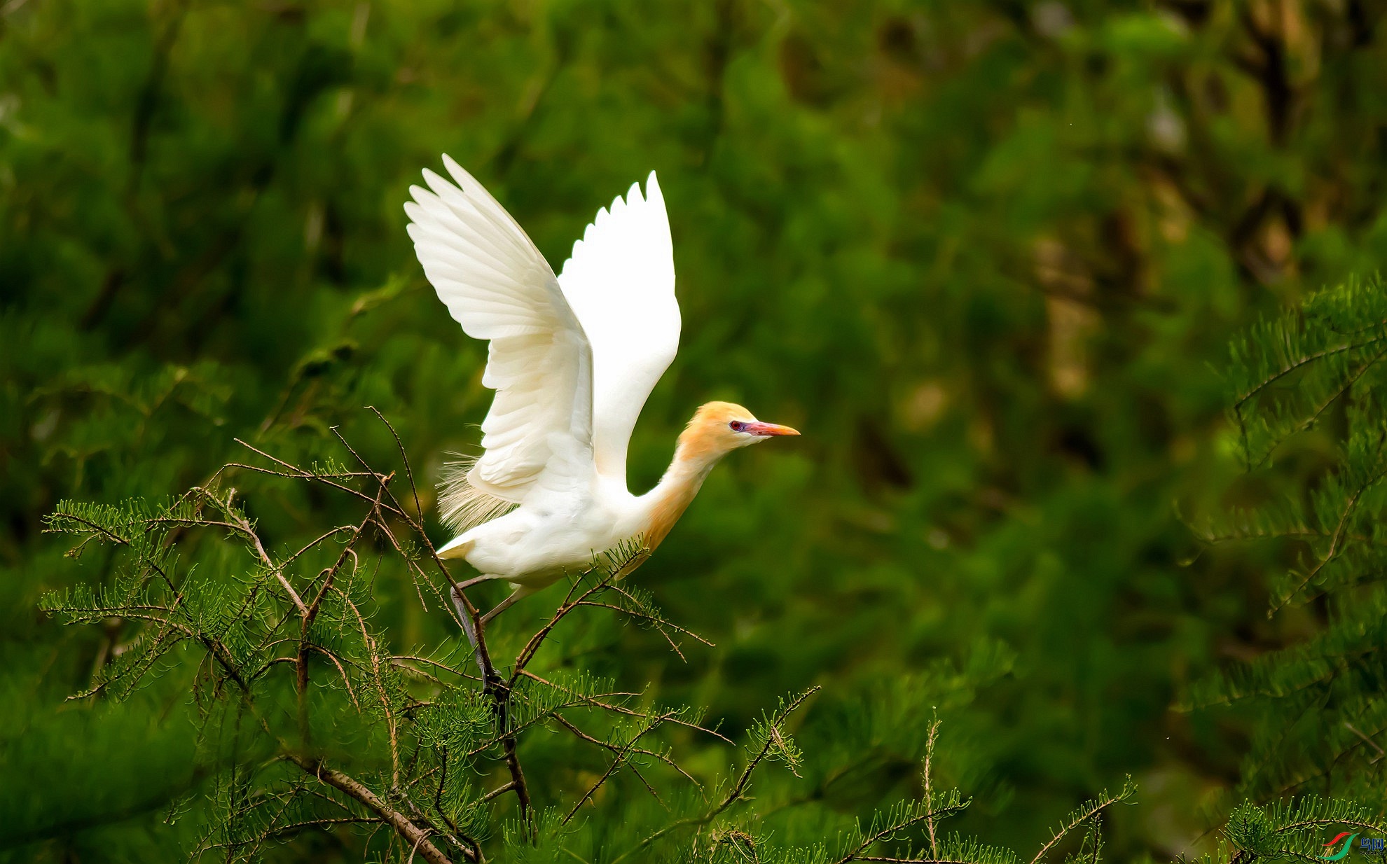 0T6A7921_����.jpg